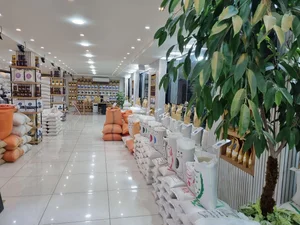بورس برنج و چای شریف نیا 4