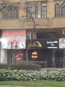 کلینیک حیوانات خانگی ایرانیان 3