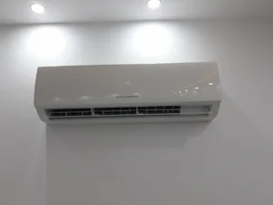 سیدپویا بدری 2