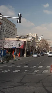 پروتئینی پنجم 5