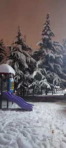 بوستان لادن