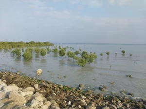 بوستان هلر