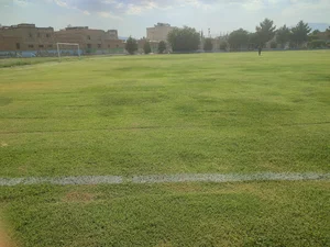 ورزشگاه حمزه