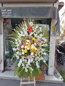 گل علیمردانی