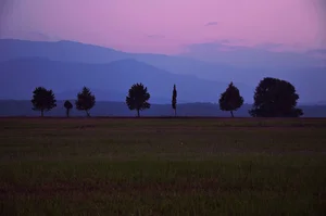 هنرستان کشاورزی آمل