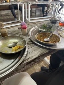 صبحانه خوری تک درخت