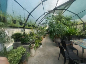 گلخانه گلبن(golbon greenhouse)