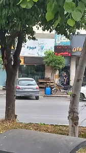 پیرایش نخل