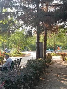 پارک مکعب 4