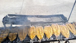 غذاخوری مهرسام