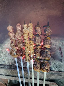 جگرکی پاشا