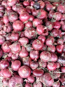 میدان تره بار