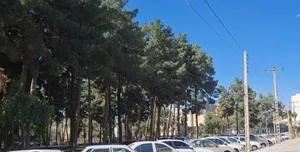 بوستان ارکیده (شهدا) 4