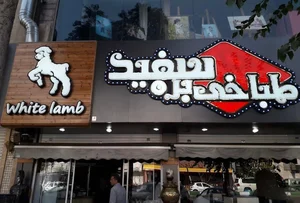 طباخی بره سفید 2