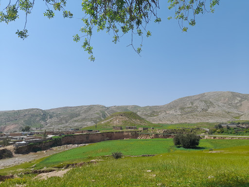 روستای دلی