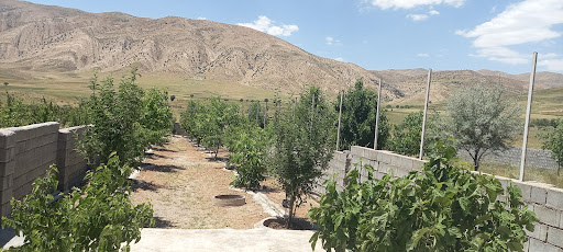 Ferdous garden