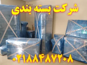 شرکت تن ماهی ساحل