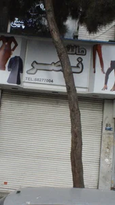 مانتو نصر