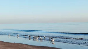 Al Hail Beach, Wadi Al Lawami