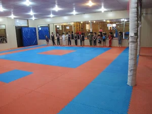 سرای محله شاهین