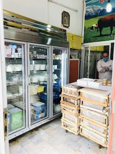 لبنیاتی جامی