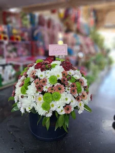 گل اطلس