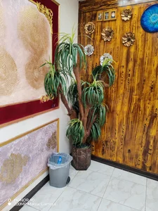 رستوران کارن