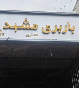 متخصص تعمیر ABS و سیستم ترمز