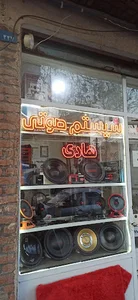 سیستم صوتی هادی