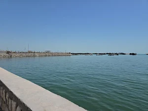 Kong Port Customs Land