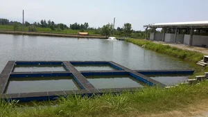 Alifard Fish Farm