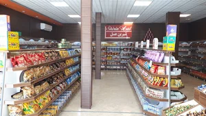 فروشگاه شیرین عسل