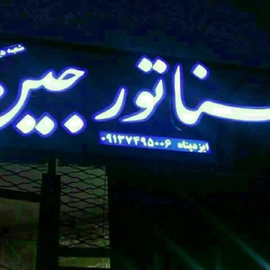 سناتورجین یزد