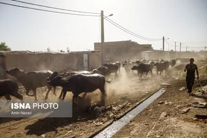 باشگاه بدنسازی زاهد زاکر