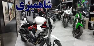 دوچرخه سازی هادی