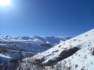 نمایندگی شرکت بوتان