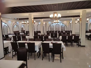 شمشیری یاس