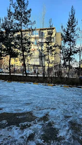 Block 21