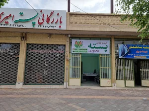 خرید و فروش پسته محمودی
