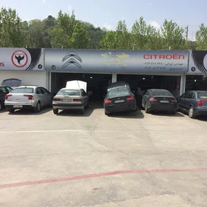 Mohandes Tourani's Citroen Auto Maintenance and Repair