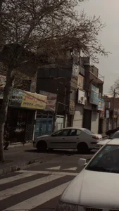اتو بار وفادار 2