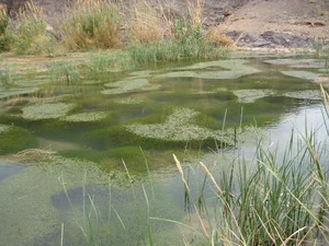 چشمه ثلاثه جوشقان مرکزی