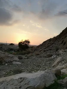 آموزشگاه رانندگی سعید