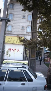 فرش رز 2