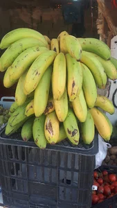 میوه فروشی مطوری