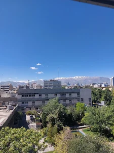 سازمان مرکزی دانشگاه تهران