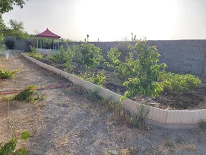 باغ زری