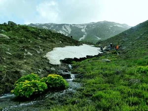 صنایع چوب نگارستان