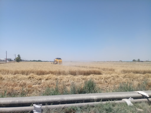 شرکت گاوداری گاواره