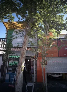گیاهان دارویی حسین 2
